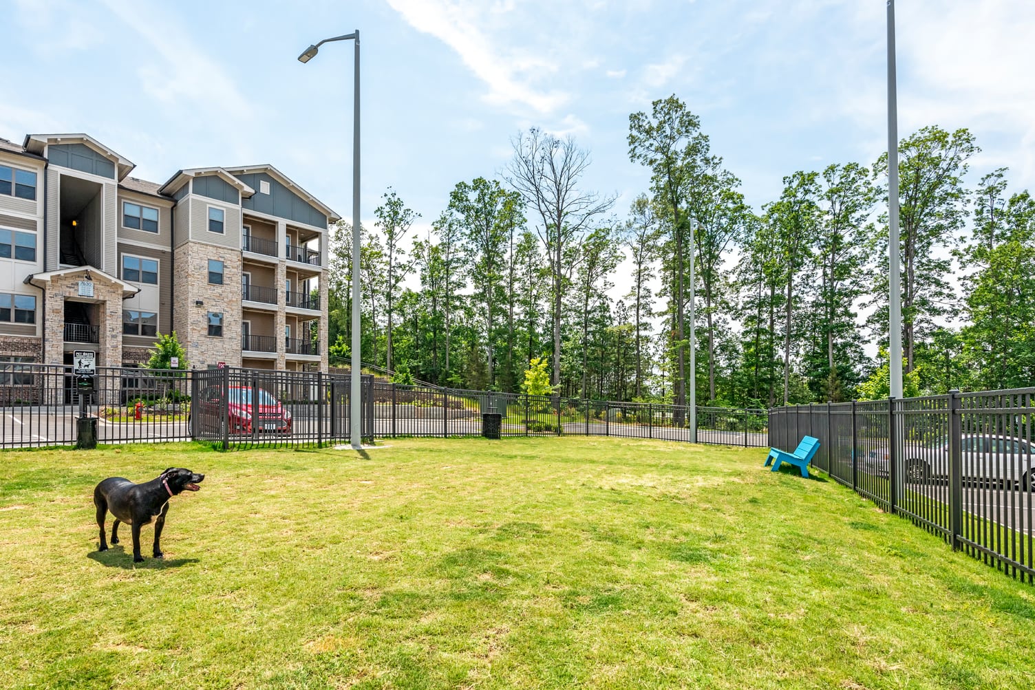 AdaraAlexanderPlace DogPark 1 HighRes May2019