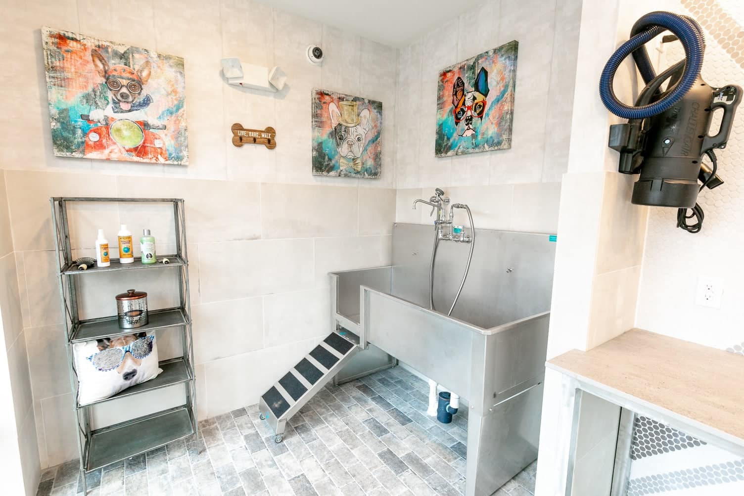 AdaraAlexanderPlace PetWash 2 HighRes