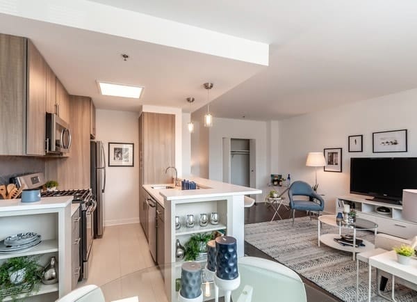 Dominion Web ModelUnitLivingRoom2