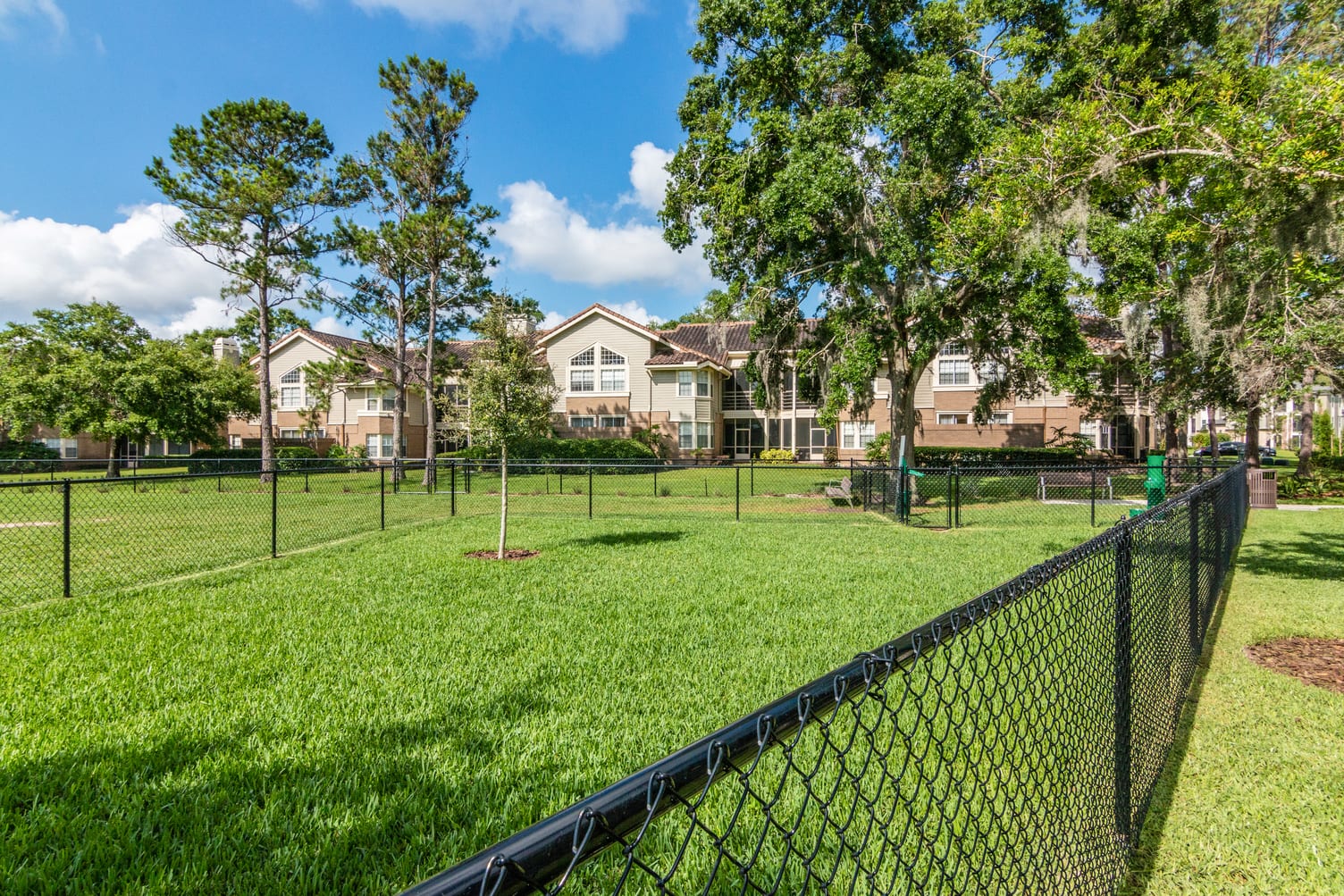 TheAlexanderatSabalPoint DogPark 1 HighRes