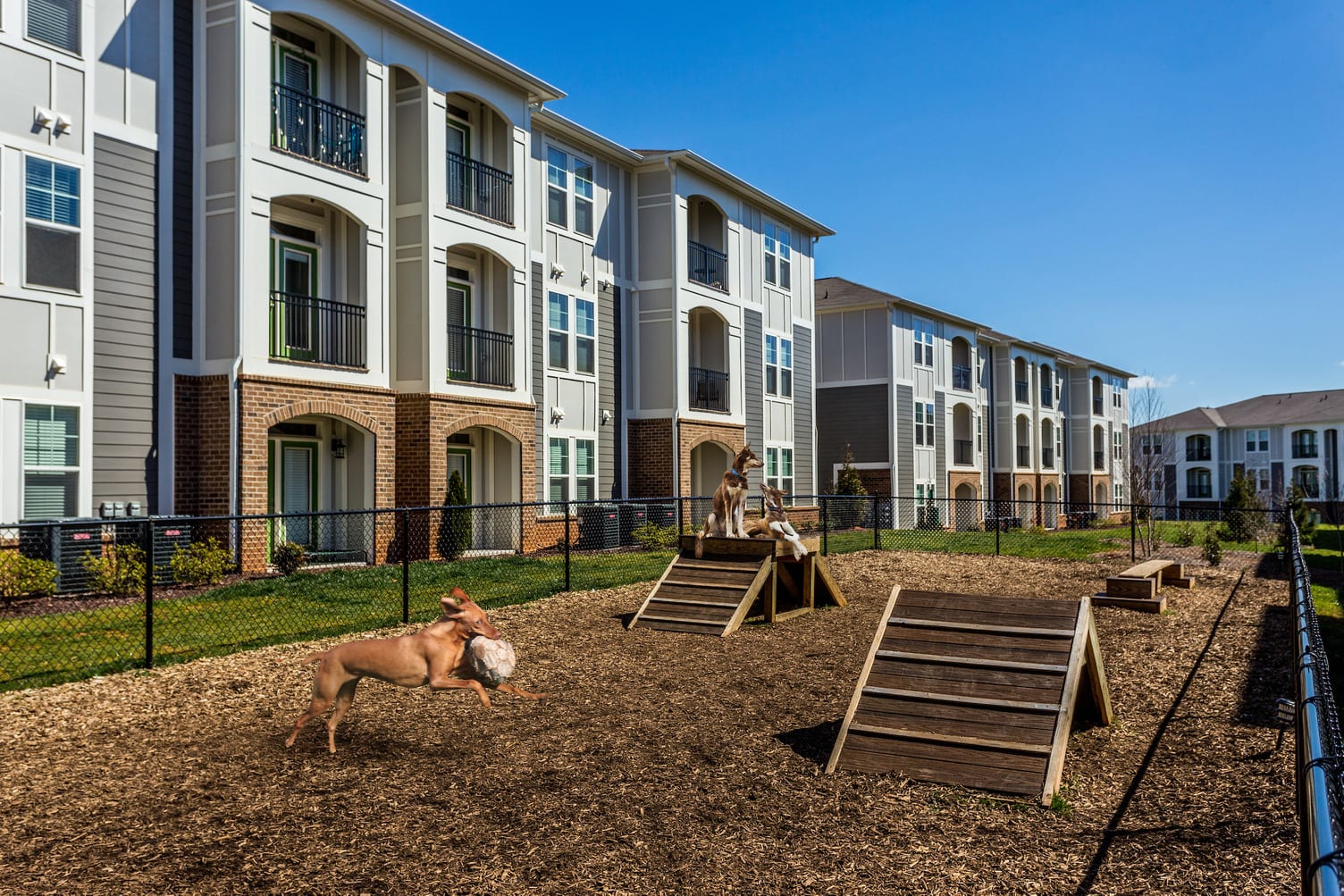 Wayfare at Garden Crossing Dog Park 2 March2019