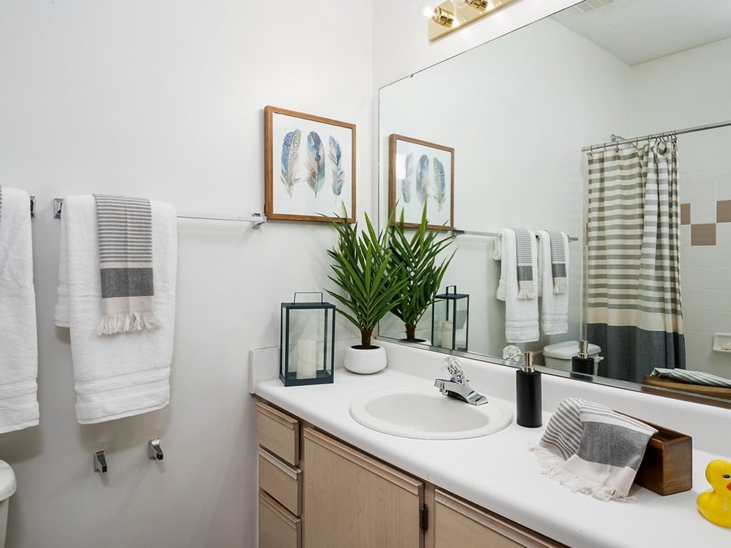 The Park at Steele Creek Bell Partners