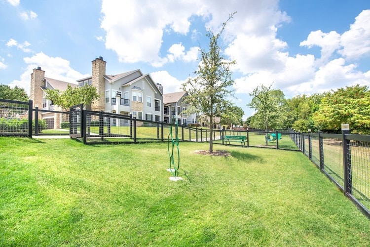 BellStarwood Dog Park (1) September2022