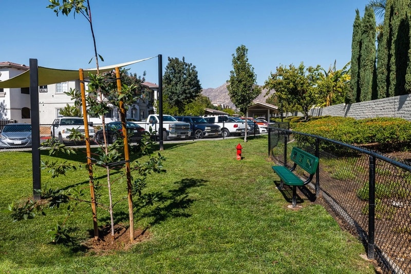 Villas at Towngate Dog Park (2) 2023 HighRes