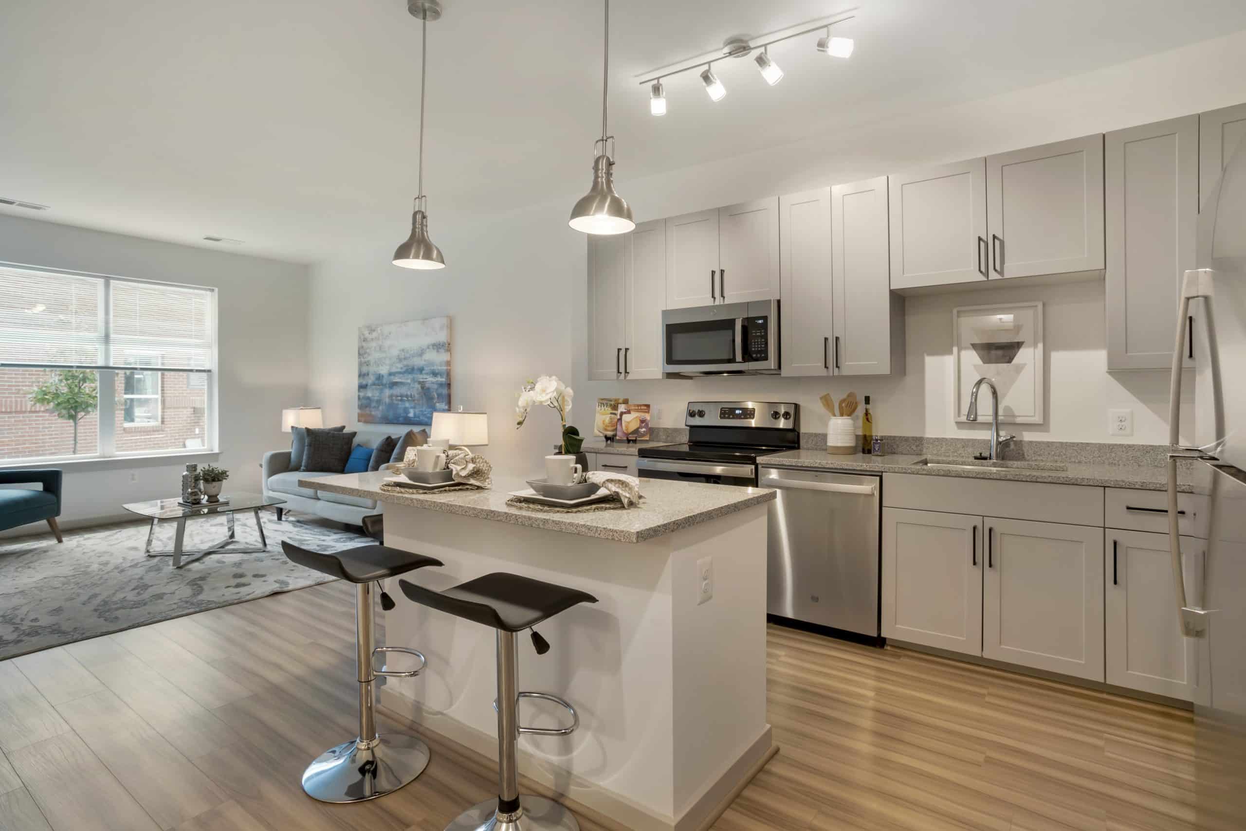 Viridium Model (1) HighRes