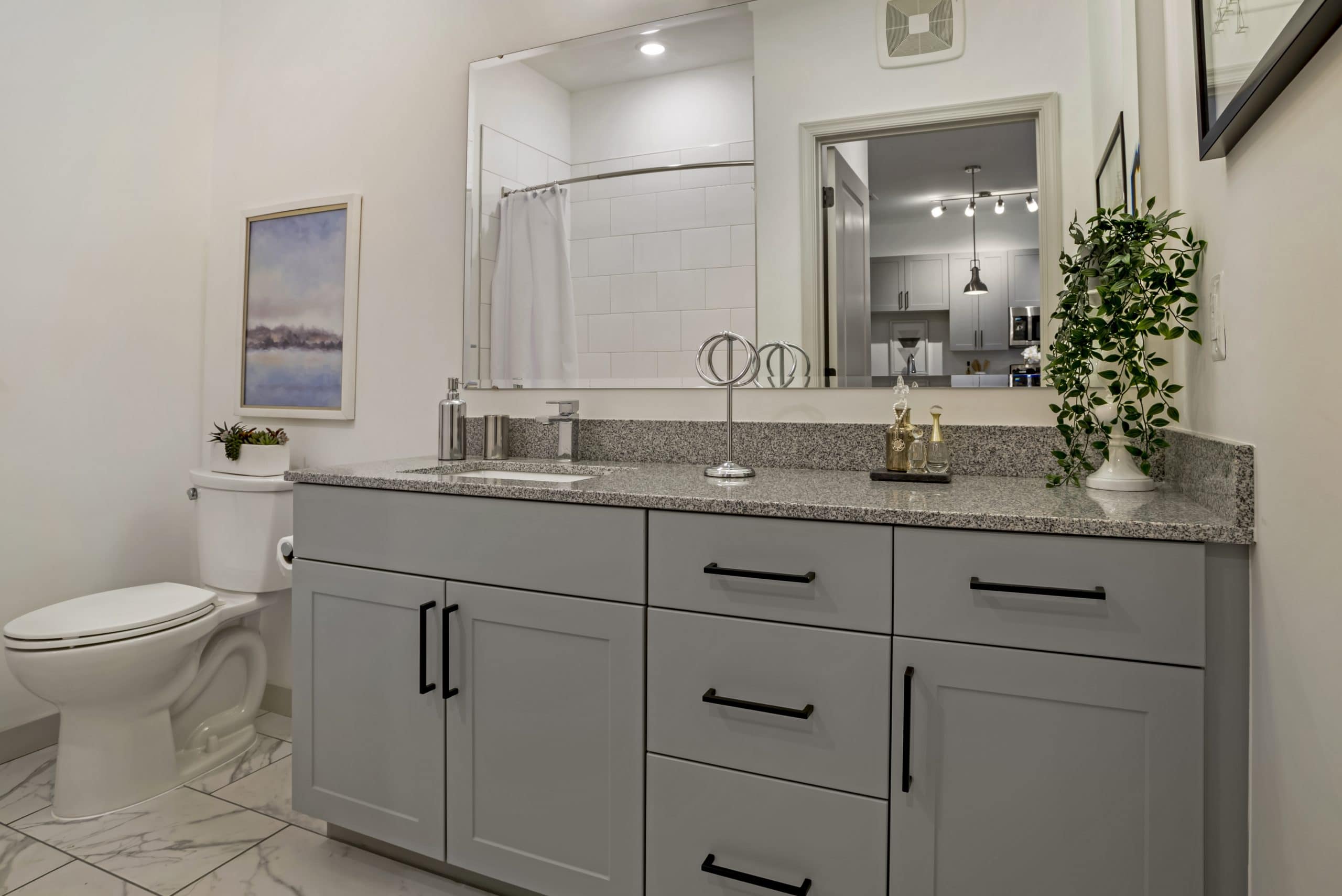 Viridium Model (3) HighRes