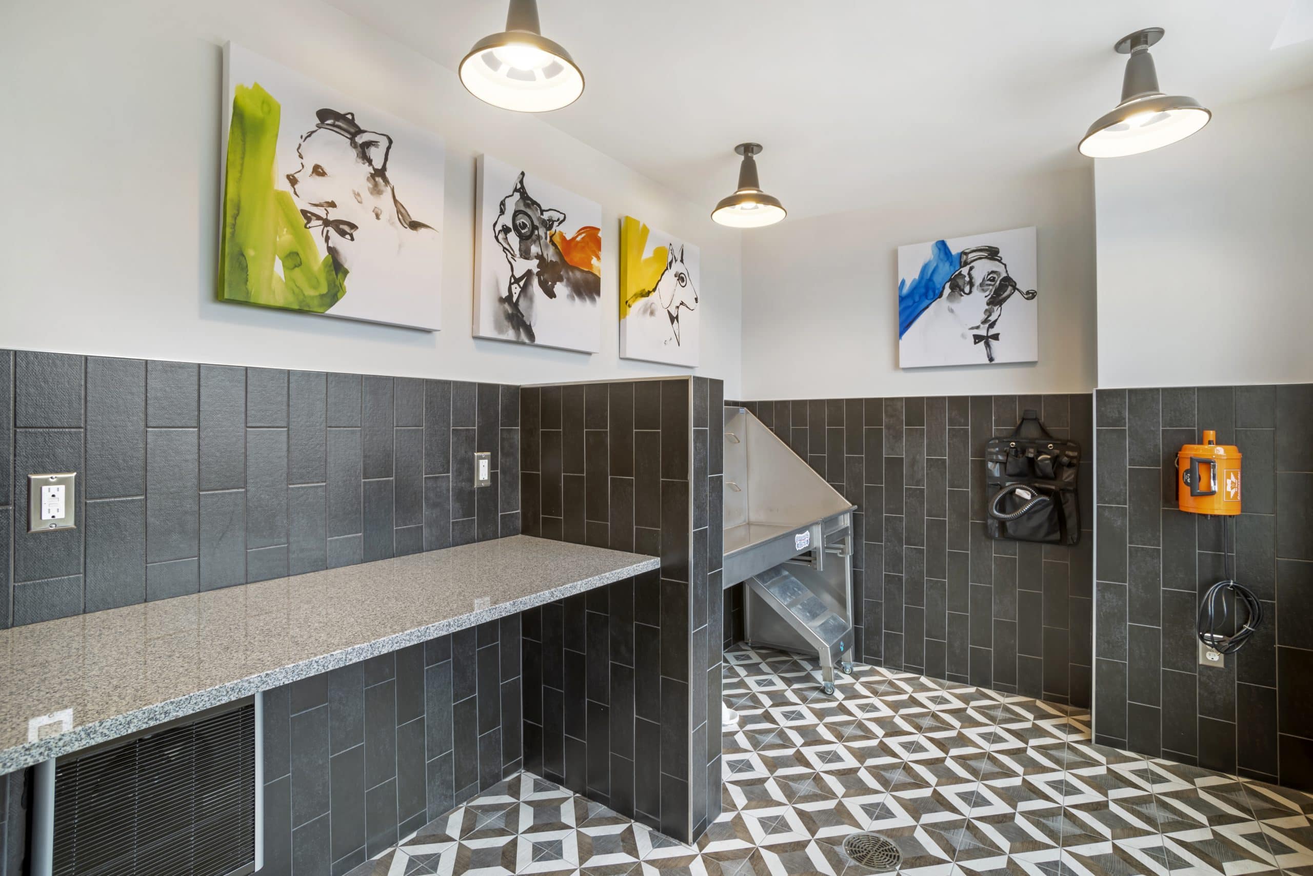 Viridium PetGrooming (1) December2022 HighRes