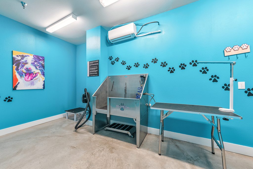 Axis110 PetWash(1) January2025 HighRes