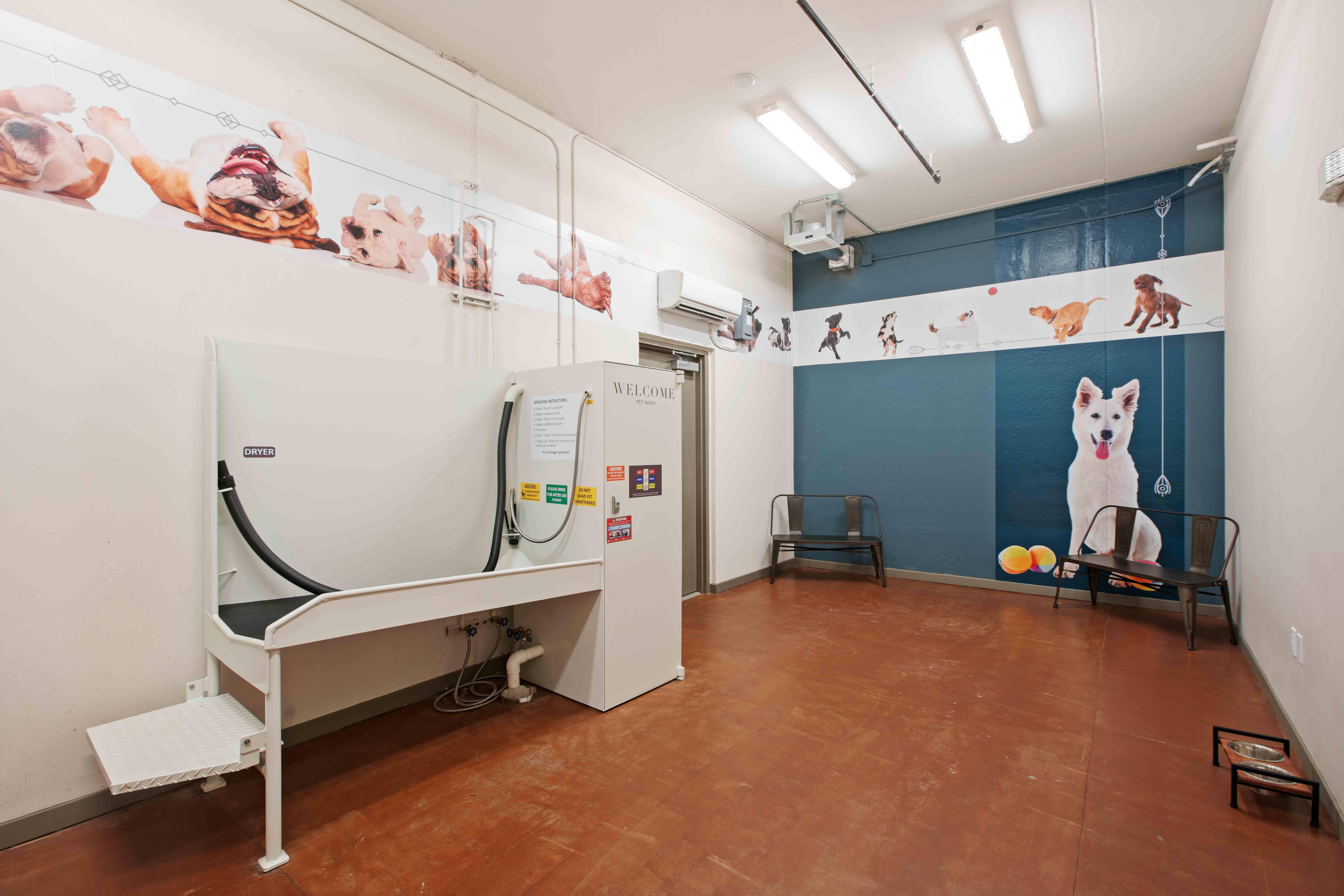 JunoWinterPark PetWash(1) January2025 LowRes