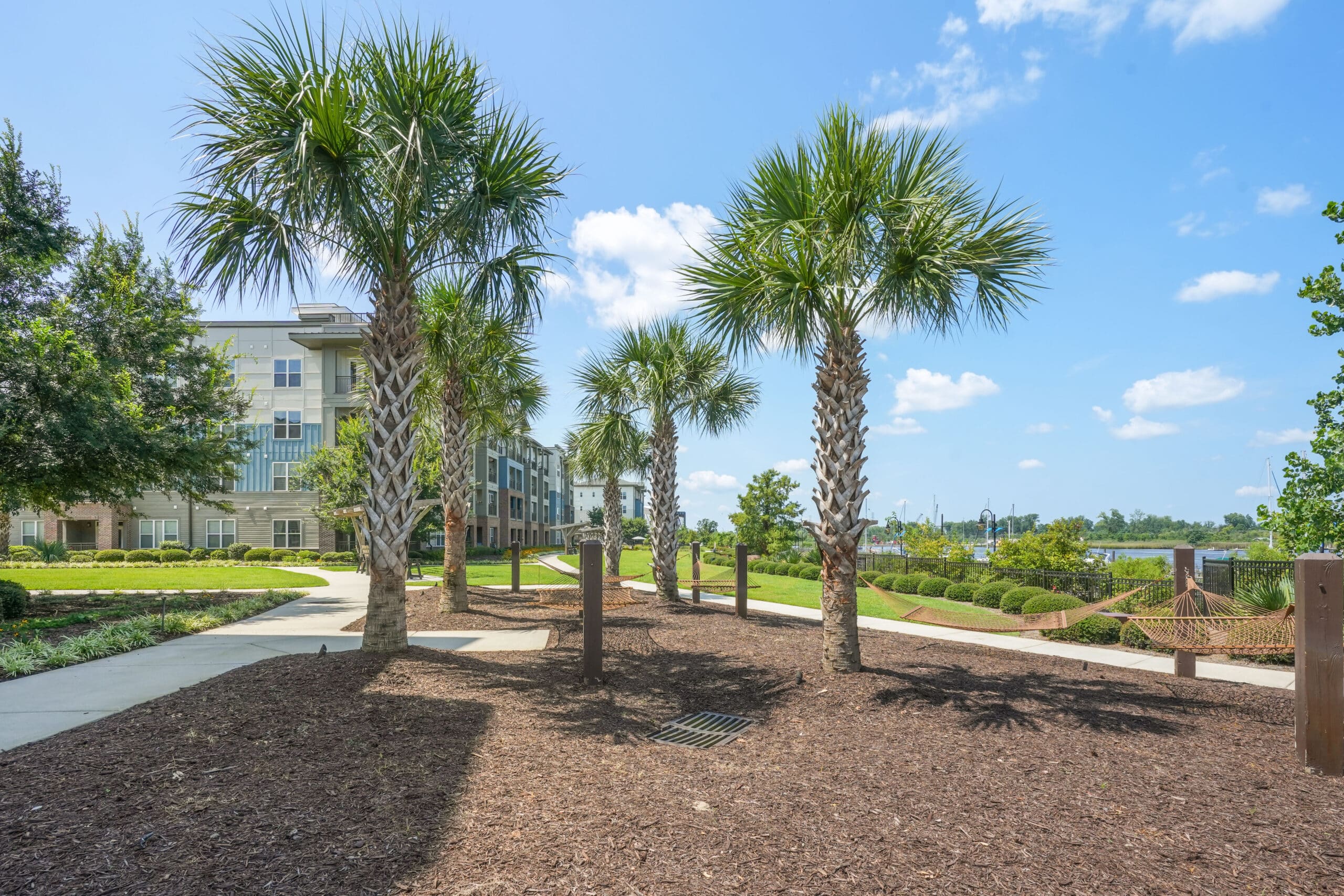SawmillPoint Courtyard August 2024